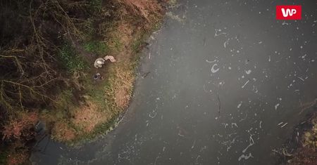 Jak policja szuka zwłok? Istnieją różne metody