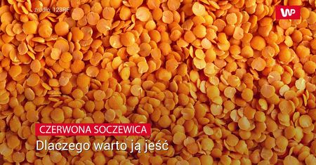 Czerwona soczewica. Dlaczego warto ją jeść
