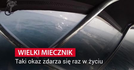 Złowił wielkiego miecznika