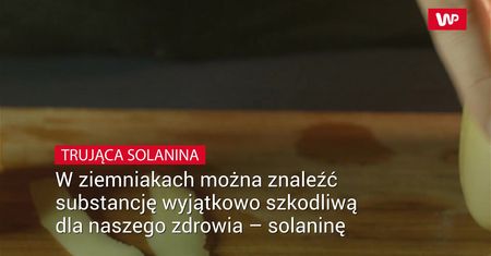 Trująca solanina w ziemniakach