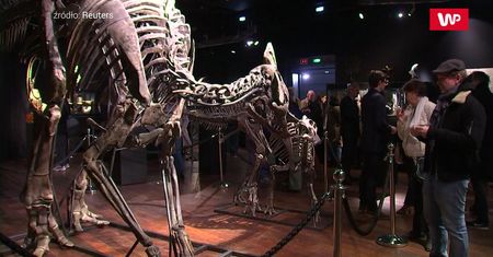 Szkielety dinozaurów i kawałek Marsa na sprzedaż