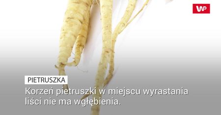 Pietruszka a pasternak. Jak odróżnić?