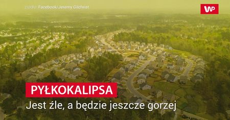 Alergicy mają przekichane. Badania naukowców nie pozostawiają wątpliwości