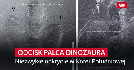 Jedyne takie odkrycie na świecie. Poruszenie wśród naukowców