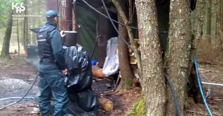 Akcja służb w lesie na Podlasiu. "Nowa fabryka"