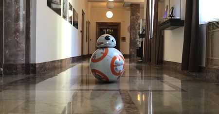 Robot BB-8 z "Gwiezdnych wojen". Zrobiła go polska studentka
