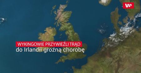 To Wikingowie przywieźli trąd do Irlandii