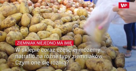 Ziemniak niejedno ma imię