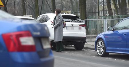 Bołądź w zielonych dzwonach główkuje przy parkometrze