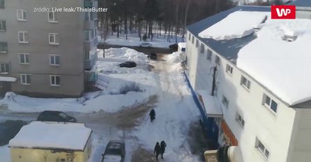 Śnieg zsunął się z dachu. Kobieta miała ogromne szczęście