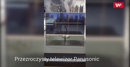 Przezroczysty telewizor Panasonic