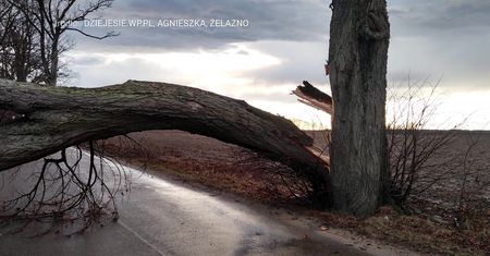 Niż Bennet sieje spustoszenie. Będzie wiać nawet 90 km/h