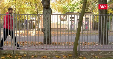Niewinna zabawa, która może przerodzić się w koszmar. Nie dawaj psu lizać się po twarzy