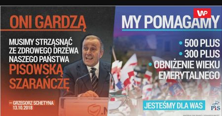 Schetyna o "pisowskiej szarańczy". Jest reakcja partii