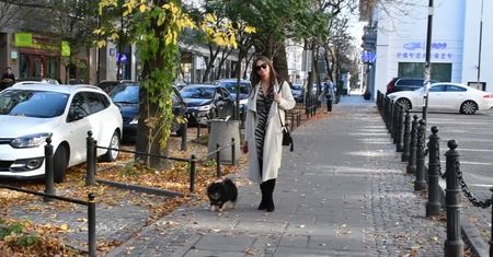 Rusin i Kraśko wyprowadzają Czarka na spacer