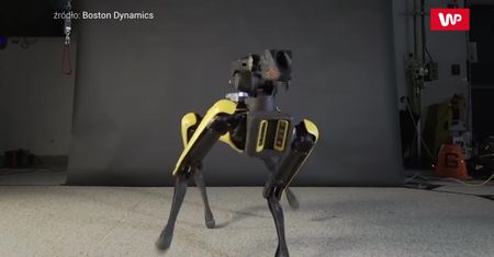 Tańczący robot. Maszyna robi furorę w internecie