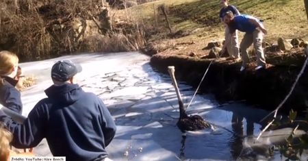 Nietypowa akcja ratunkowa w jednym z ogrodów zoologicznych