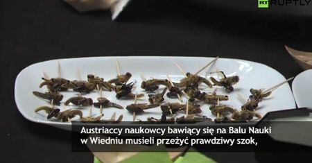 Niecodzienne przystawki na Balu Nauki w Wiedniu