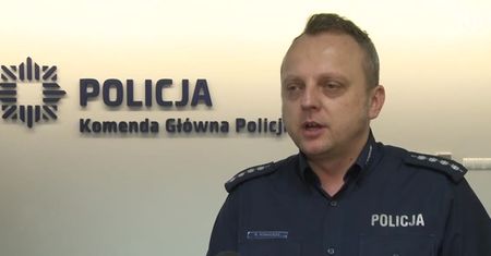 #dziejesienazywo: Jak przewozić psa lub kota w samochodzie?