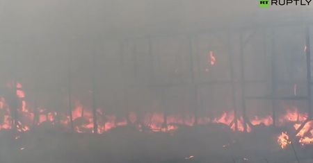 Pożar obozu w Calais. Uchodźcy podpalili część ewakuowanej "dżungli"