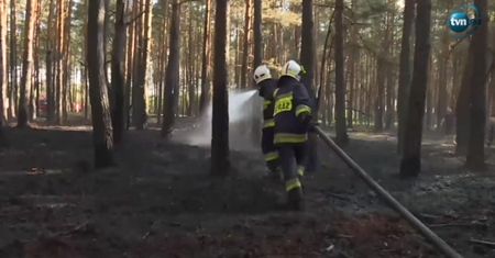 Pożar lasu koło Krosna Odrzańskiego. W akcji samolot gaśniczy i 12 zastępów strażaków
