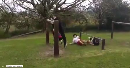 Co Irlandczycy robią po wieczorach kawalerskich?