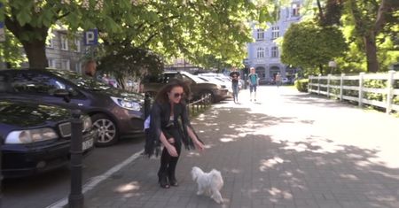 Wiosenna Herbuś z psem w restauracji