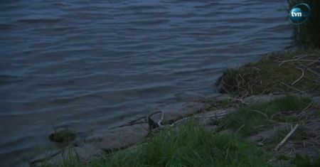 Dwie osoby wpadły do Wisły w Gdańsku. Trwa akcja poszukiwawcza