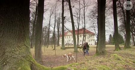 Zamiast podróżować wolą remontować