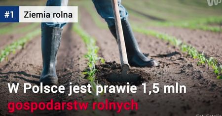 Ile kosztuje polska ziemia?