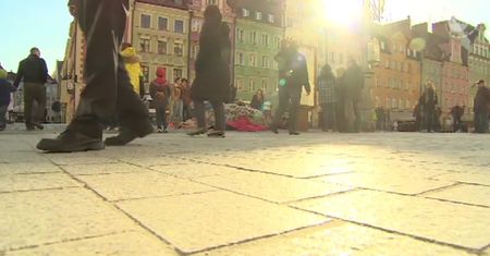 We Wrocławiu padł koń dorożkarza