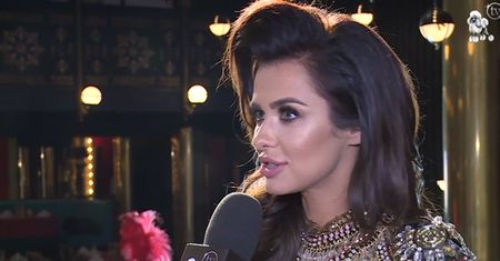 Siwiec wspomina oddanie kota: "W państwie Jarosława z kotami nie ma żartów!"