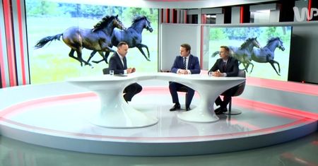 #dziejesienazywo: Kto mówi prawdę ws. stadniny w Janowie?