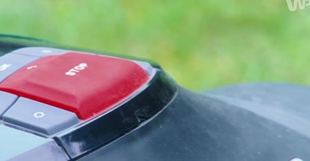 #dziejesienazywo: Wybieramy robota do koszenia trawy