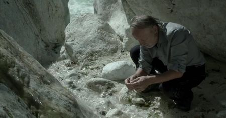 Walser (2016)
