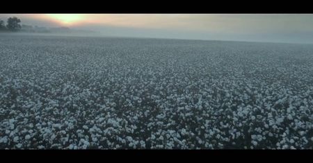 The Birth of a Nation (2016)