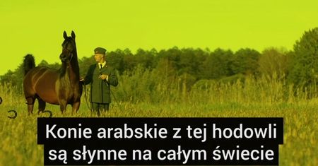 Co dalej ze stadniną koni w Janowie Podlaskim?