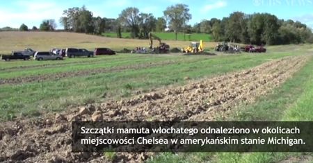 Niezwykłe odkrycie na polu rolnika