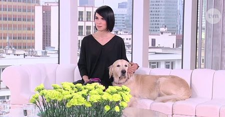 Alicja Zmysłowska - fotograf psów. Jak wyglądają sesje ze zwierzętami?