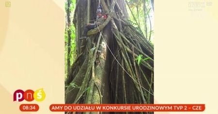 Przez 2 miesiące mieszkali na drzewach boliwijskich