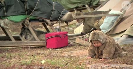 Jamał, czyli prawdziwy kraniec świata. Jak wygląda życie nomadów?