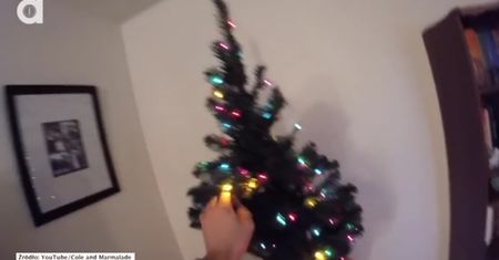 Koty uwielbiają świąteczne drzewka