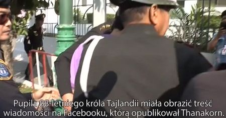 Aresztowany za zniesławienie psa