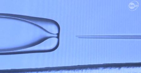 Władze Łodzi dofinansują in vitro: "Będziemy ponosić 50 procent kosztów"