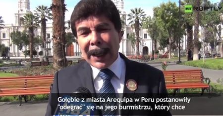 Gołębie "odegrały" się na burmistrzu za chęć ich wypłoszenia
