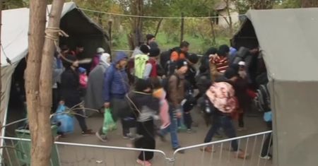 Imigranci narkotyzują swoje dzieci, aby nie bały się podróży?