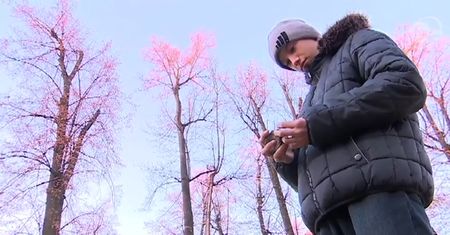 "To może być fragment bolidu". W Jaworze znaleziono tajemniczy kamień