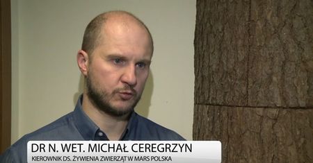 Jak prawidłowo karmić koty?