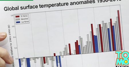 Wyjątkowo gorący rok. Będzie jeszcze cieplej?