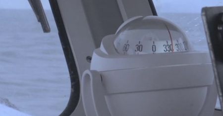 Dorsz atlantycki pojawił się w Morzu Barentsa. Naukowcy zaniepokojeni